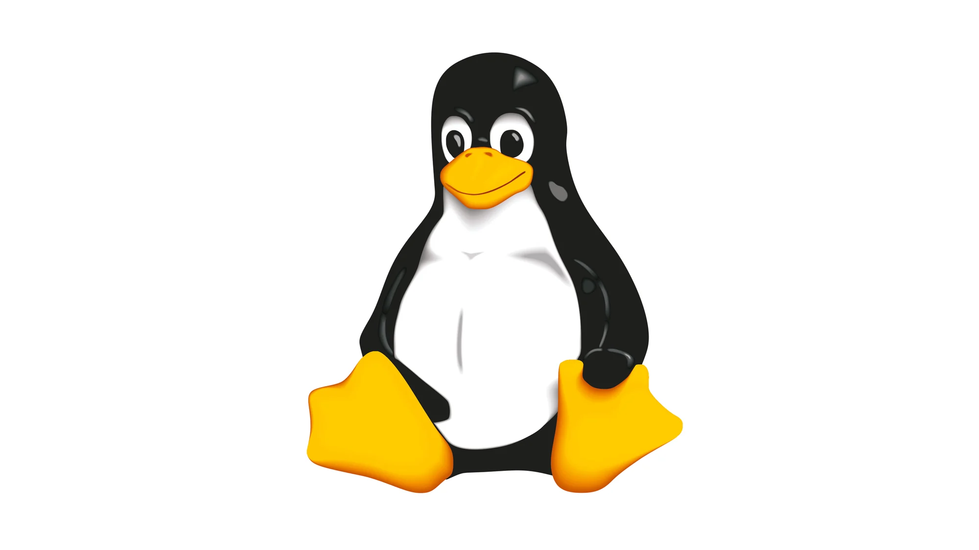 Linux guide for FAF